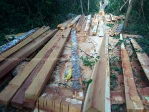 Minister for Lands and Natural Resources: Take swift action to force the Forestry Commission to halt Akyem Juaso's thriving bushcut lumber production