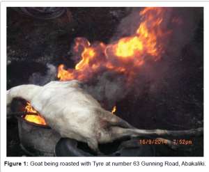 Deadly Poison on Your Plate: How Burning Car Tyres for Meat in Ghana is Destroying Your Kidneys