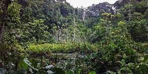 World Wildlife Day: Drop plans to mine bauxite in Atewa forest – A Rocha tells Gov’t