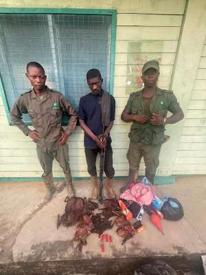 Dear Ghana, that Hungry Poacher is Still a Criminal! Abilolos Random Musings!