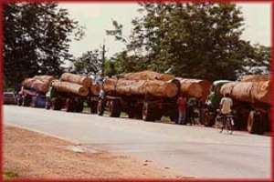 Ghana earns Over 40m from wood products