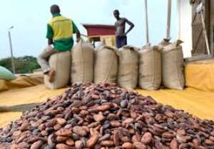 Cocoa price increment: Your crisis shows you're a failure —Atik Mohammed to COCOBOD