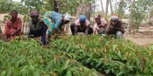 Ghana signs MoUs to increase women participation in agric