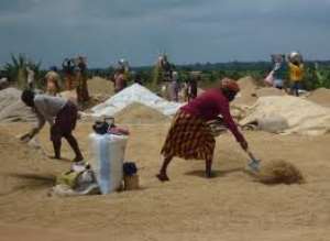 Rice Production To Receive Boost In Asante-Akim South