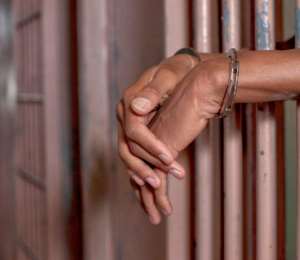 Three Sentenced For Stealing