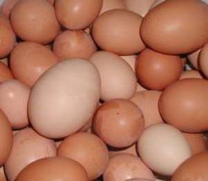 Egg Consumption Campaign Launched In Accra