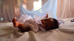 Beating malaria: what can be done with shrinking funds and rising threats