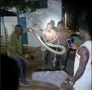 ECG restores power in Kumasi after python causes obstruction at Ahodwo substation