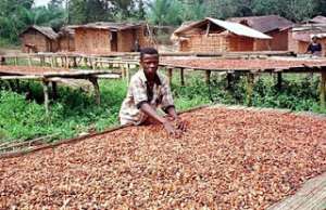 Cocoa industry, its a battle of the mind