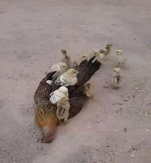 Before you destroy someone, think of those who depend on him or her