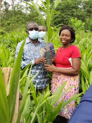 Atiwa East District Assembly supports farmers with 19,140 Oil Palm seedlings