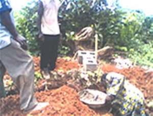 A site of a house foundation being laid.