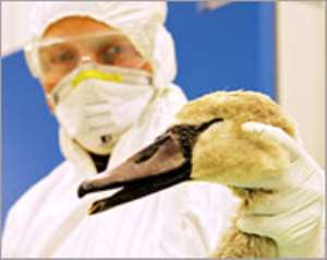 Iranian siblings die of bird flu
