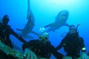 Ivor Greenstreet Escapes Shark Attack In The Bahamas
