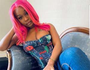 My FixTheCountry images were for joke – Efia Odo