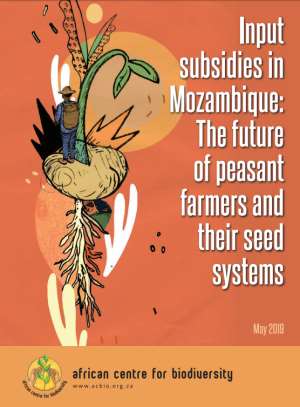 Input Subsidies In Mozambique: The Future Of Peasant Farmers And Their Seed Systems
