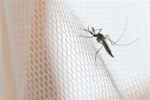 Ghana records 45% reduction in malaria among children under five