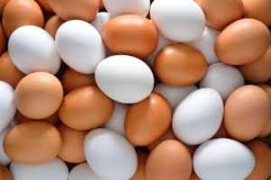 Price of Eggs to go up - Dr. Boris B
