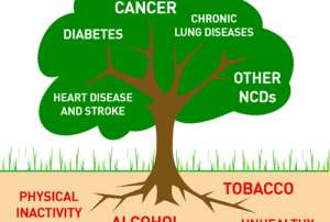 WHO Makes Strong Case For Investing In Non-communicable Disease Controls