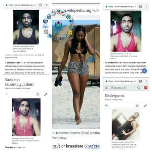 The Boxer briefs, Tank top, Bra and Lungi https:t.coGBFePFqaVY images added to the relevant articles in Wikipedia website.