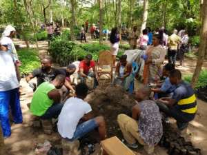 Forestry Commission Says Greening Ghana Still On Course
