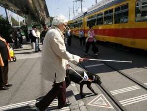 A blind woman crossing a busy street with her dog in Europe