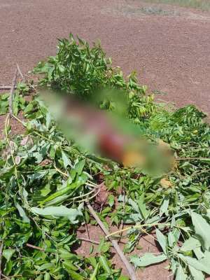Tension mounts in Maame Krobo Nkwanta over beheaded bodies