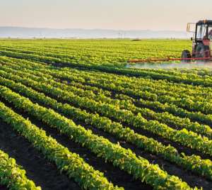 Harnessing Technology To Enhance Agricultural Productivity, Marketing And Fair Pricing