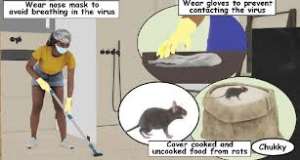 Hantavirus