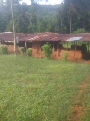 Students Abandon Death Trap JHS Classrooms For Okro Farming
