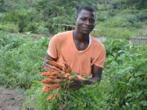Stop Bias Governance, Use Right People For Agric Ministry—Angry Farmer Jabs