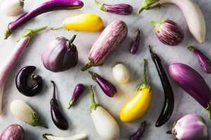 6 Eggplant Varieties to Try  Epicurious