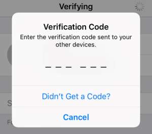 Never share your verification codes, treat like password - Cybersecurity advises public