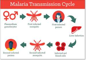 Malaria cases declining in Ghana