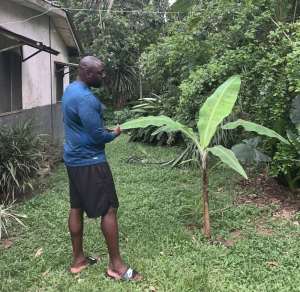 Rashad McCrorey at Aburi Botanical Gardens living the African Dream