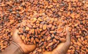 Ghana’s Cocoa Traceability System: A Foundation for EUDR Low-Risk Benchmarking