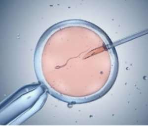 The Quiet Desperation: IVF in West Africa The Need, the Cost, and the Search for Satisfaction