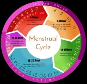 Affordable Menstrual Cycle Management