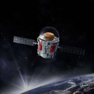 KFC launches chicken sandwich into space next week