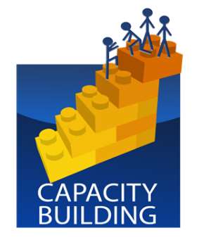 Capacity Building in Changing ICT Environment