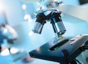 COVID-19: Science, Technology And Innovation Key To Africa’s Recovery  Says Songwe