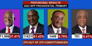 The 2028 NPP Flagbearer Race: A Contest of Legacies, Luggage, and Voter Reckoning