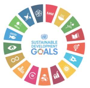 Is Ghana anywhere near achieving the UN Sustainable Development Goals?