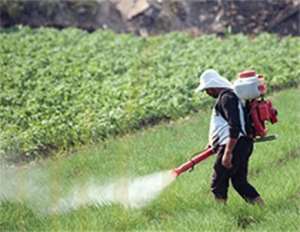 Pollutants From Agriculture A Serious Threat To World's Water - FAO