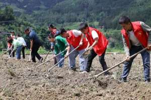 Farmers and CPC members work side by side to plough the fields and plant crops in Gaojiu Village in Guizhou on October 8, 2023. Photo: VCG