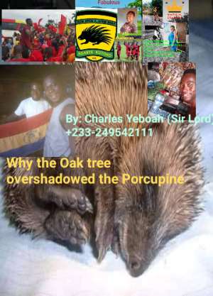 Why the Oak tree overshadowed the Porcupine