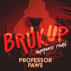 Professor Paws drops another banger 'Bruk Up'