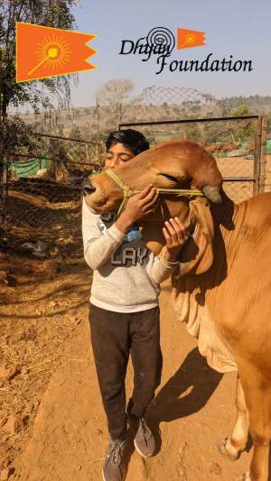 Dhyan Foundation: A Global Beacon of Compassion and Sustainable Change