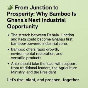 From Junction to Prosperity: Why Bamboo Is Ghana’s Next Industrial Opportunity