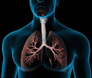 Looking after your lungs should not only happen once a year.
